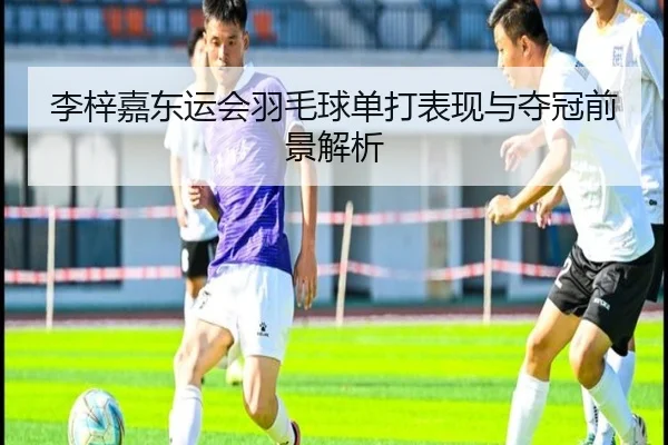 李梓嘉东运会羽毛球单打表现与夺冠前景解析